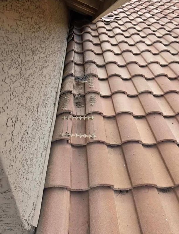 Quality roof repair service, Greater Phoenix